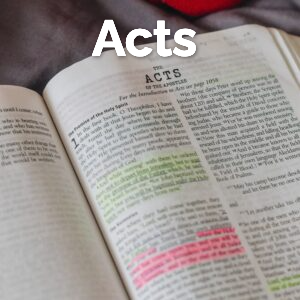 Acts